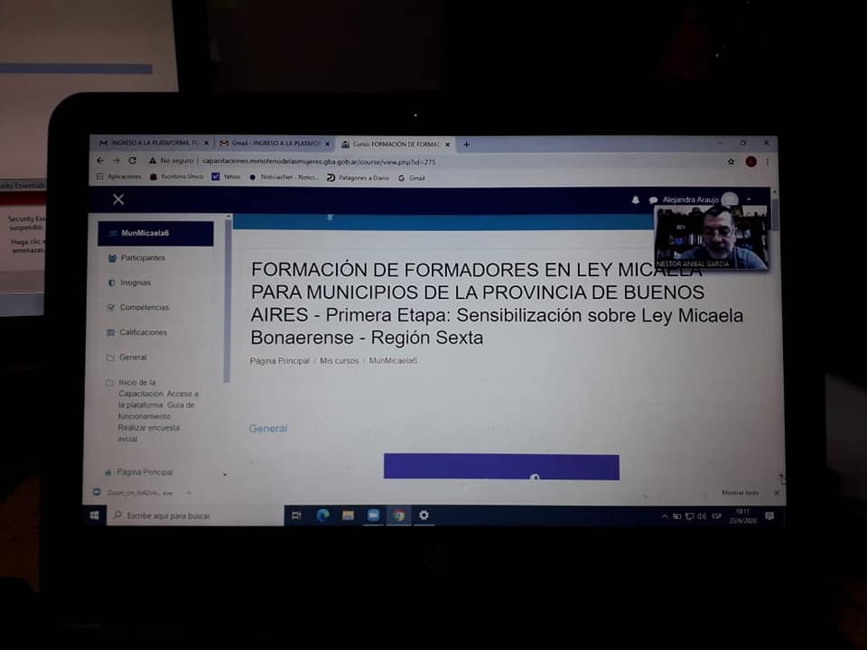 Ley MIcaela