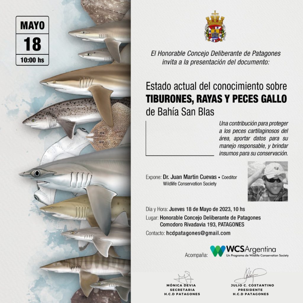 EL HCD PATAGONES INVITA A LA PRESENTACIÓN DE UN DOCUMENTO SOBRE TIBURONES, RAYAS Y PECES GALLO