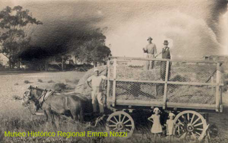 Carro para cargar pasto