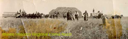 Campo de Dona Martina Etche