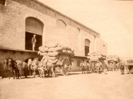 Carretas en Barranca Sassen